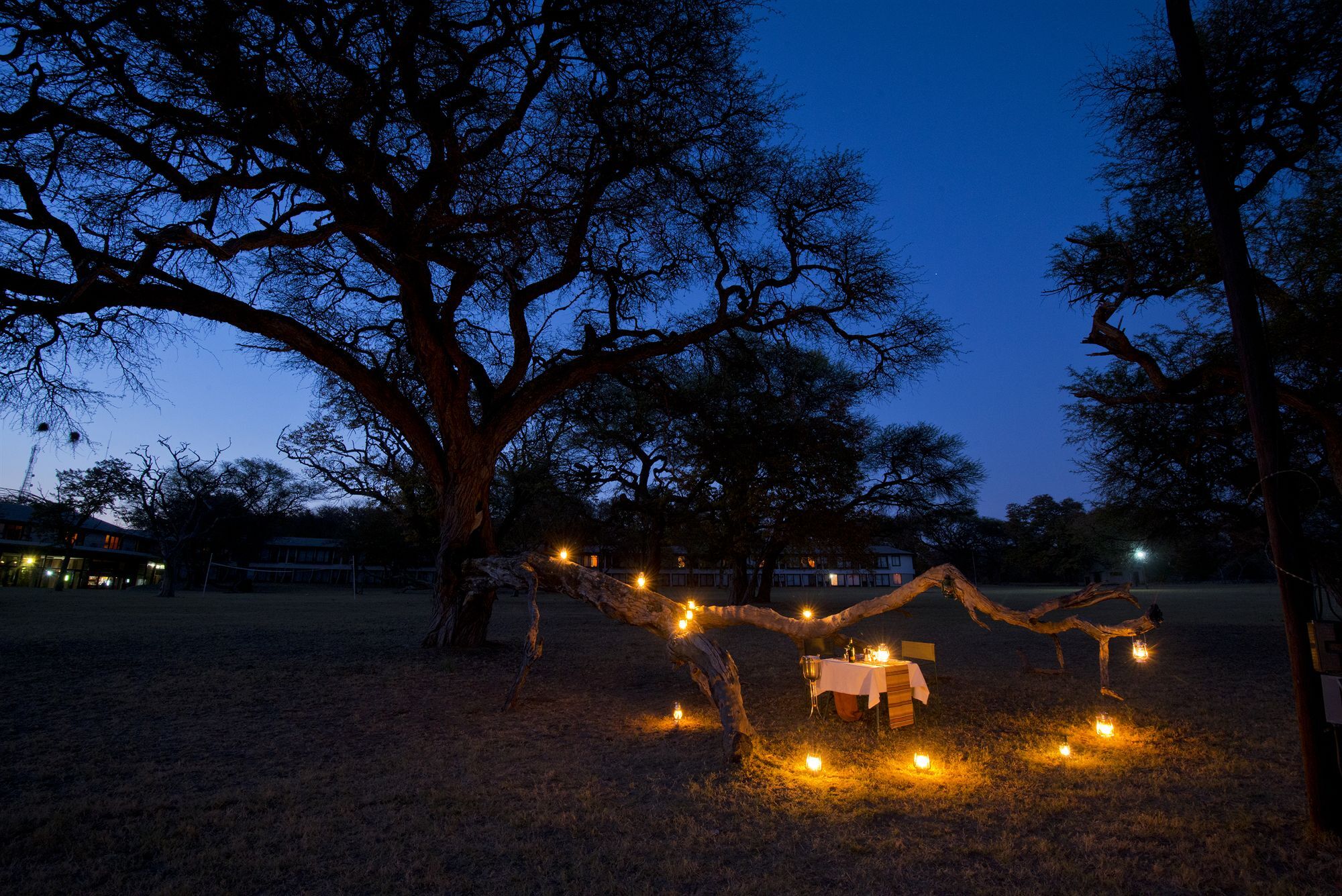 Hwange Safari Lodge Dete Eksteriør billede